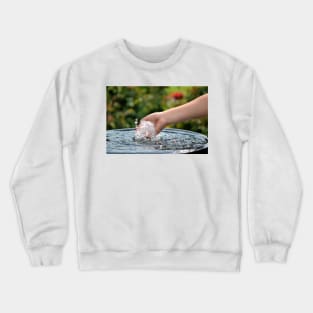 The Fountain of Youth Crewneck Sweatshirt